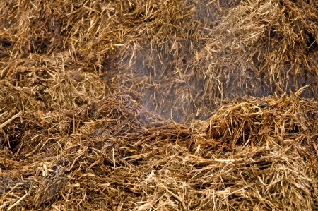 dung hill の写真素材