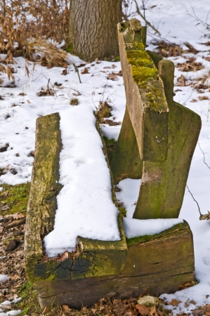Park bench in snowの写真素材
