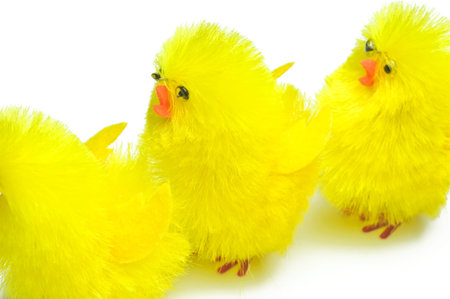 Easter biddyの写真素材