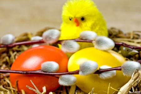 easter basket with painted eggs, catkin and biddiesの写真素材
