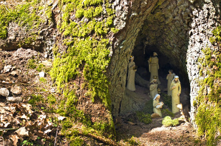 nativity scene in a hollow treeの写真素材