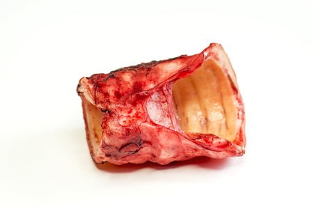 cow throatの写真素材