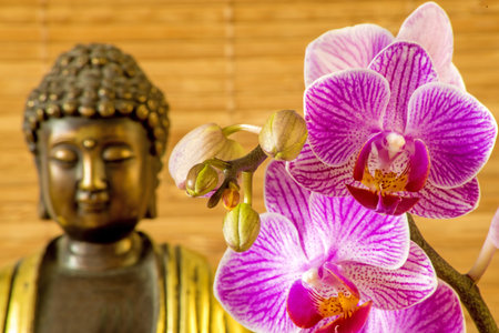 Buddha with orchidの写真素材