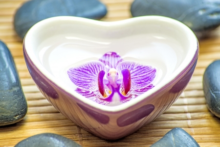 heart bowl with orchid bloomの写真素材