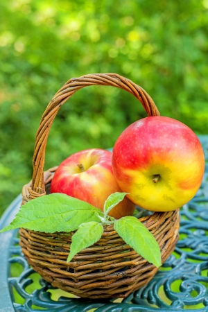 apples in a basketの写真素材