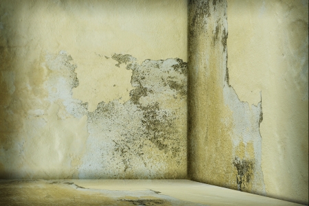 Empty room with dirty wallの写真素材