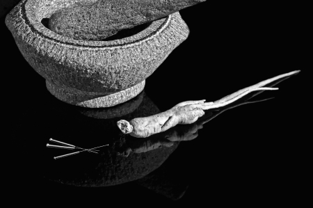 acupuncture needles and ginseng rootの写真素材