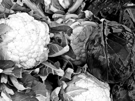 cauliflower and blue kale at a farmer marketの写真素材