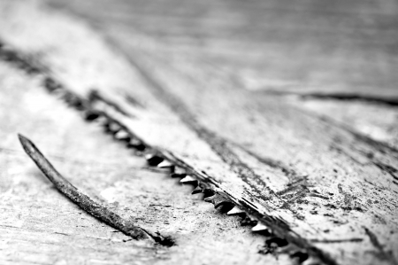 old sawの写真素材