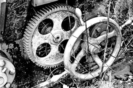 rusty gear-wheel
