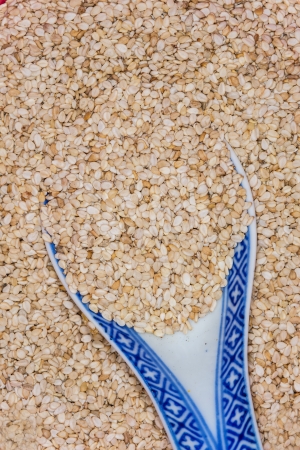 Sesameの写真素材