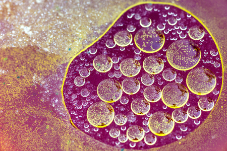 oil-drops floating  in waterの写真素材