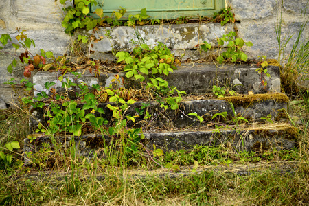 old stairs with flowersの写真素材