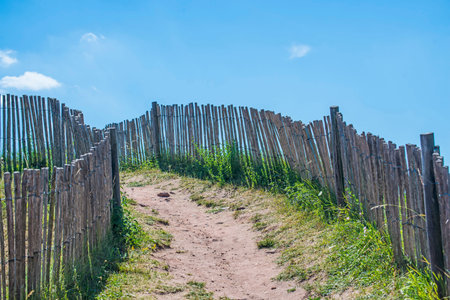 way to a beach