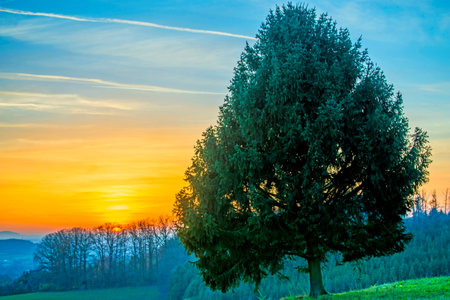 Sunset in autumnの写真素材