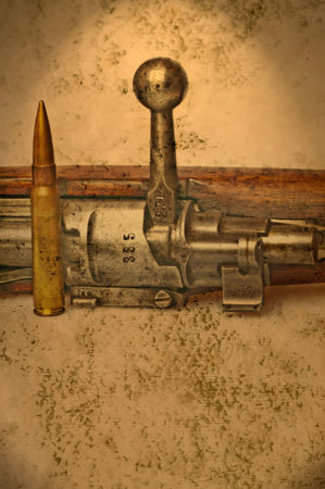 carbine with ammunitionの写真素材