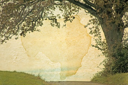 oak with way in retro lookの写真素材