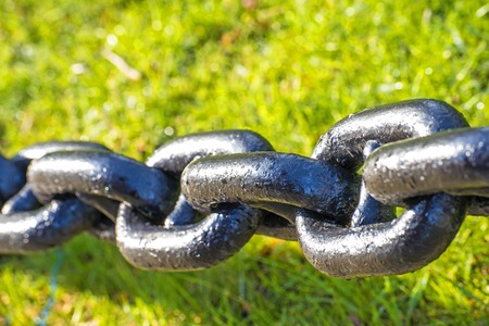 anchor chain in green grassの写真素材