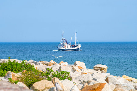 Baltic sea with trawler and seagull
