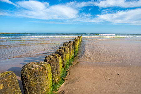 Groins in the Baltic Seaの写真素材