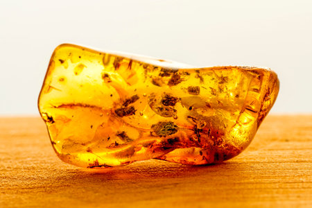 amber with inclusions