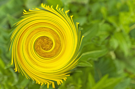 flying spiralの写真素材