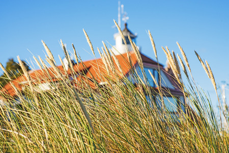 beach grass with old lighthouseの写真素材