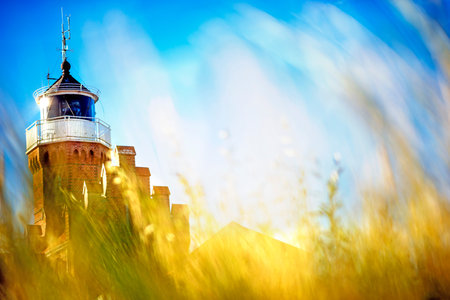 beach grass with old lighthouseの写真素材