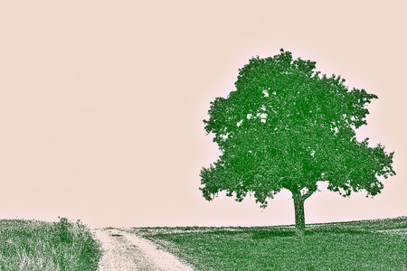 tree on a wayの写真素材