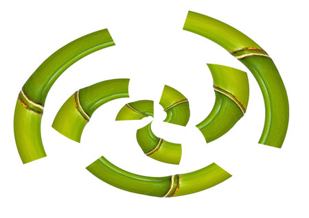 bamboo in bent parts