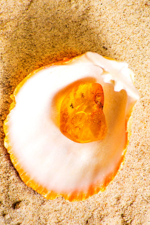 Amber with embedded insectの写真素材