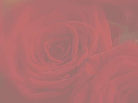 stationery with rose flowerの写真素材