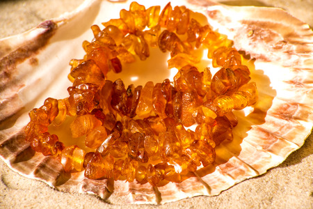 amber necklaceの写真素材