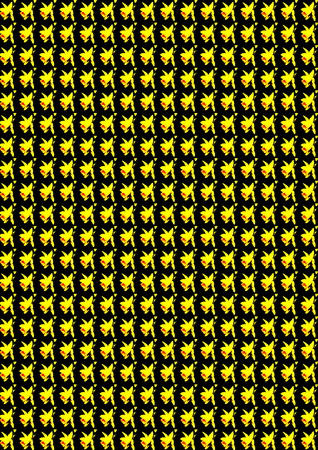 daffodil flowersの写真素材