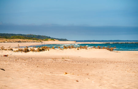 beach of the Baltic Sea in Polandの写真素材