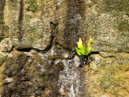 old abbey wall of sand stonesの写真素材
