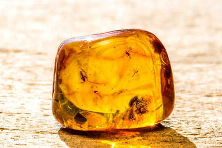 Amber with embedded insect