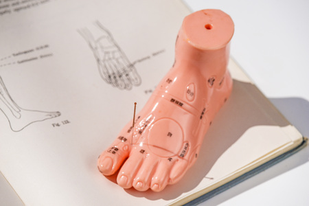acupuncture demonstration on foot model の写真素材