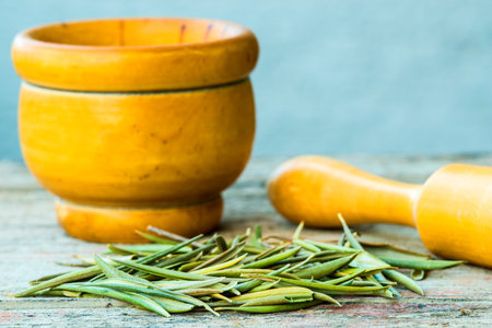 olive tree leaves, drug to lower blood pressureの写真素材