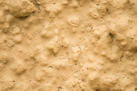 Medieval wall of a German farm houseの写真素材