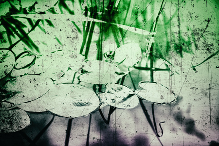 a pond with water lily leavesの写真素材