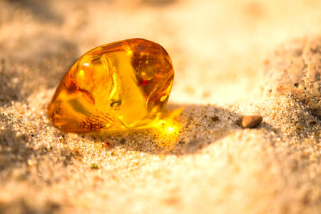 Amber on a beach of the Baltic Sea