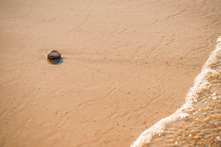 single stone on a sand beach with surfの写真素材