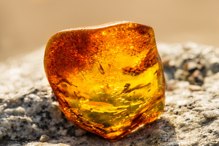 Amber on a beach of the Baltic Seaの写真素材