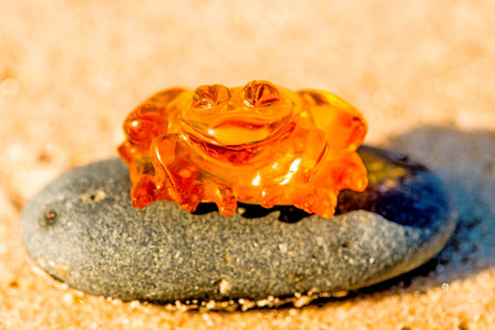 Amber frog on a beach of the Baltic Seaの写真素材