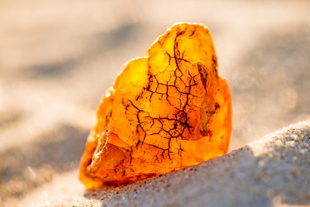 Amber on a beach of the Baltic Seaの写真素材