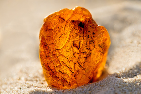 Amber on a beach of the Baltic Seaの写真素材