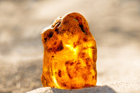 Amber on a beach of the Baltic Sea
の写真素材