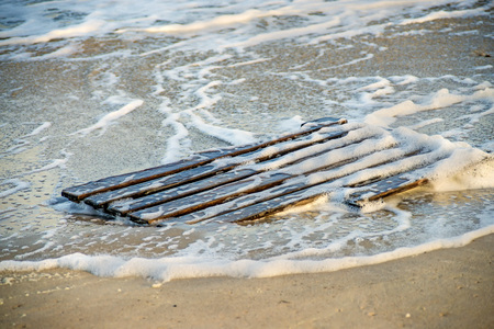 Driftwood, palette at a beach of the Baltic Seaの写真素材