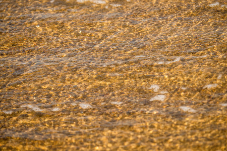Sandy beach with shallow water of the surfの写真素材